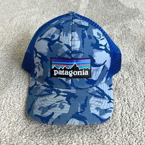 Patagonia Trucker Hat